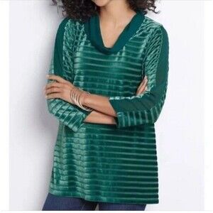 Soft Surroundings Meri Velvet Knit Tunic Top Size Medium Green Cowl Neck Stripe